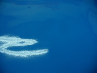 s-2010-02-02028.jpg