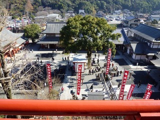 s-2010-03-022010.01.00 114.jpg
