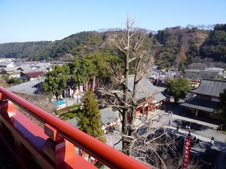 s-2010-03-022010.01.00 115.jpg