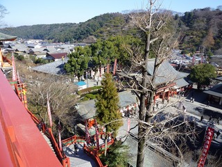 s-2010-03-022010.01.00 116.jpg