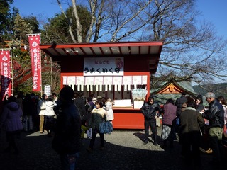 s-2010-03-022010.01.00 119.jpg