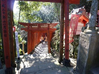 s-2010-03-022010.01.00 133.jpg