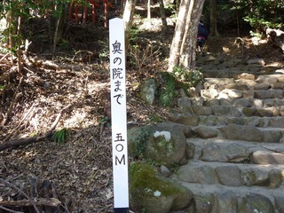 s-2010-03-022010.01.00 138.jpg