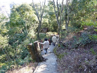 s-2010-03-022010.01.00 146.jpg