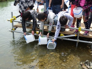 s-2010-06-15P1040273.jpg