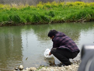 s-2010-06-15P1040306.jpg