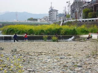 s-2010-06-15P1040345.jpg