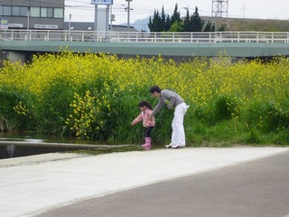 s-2010-06-15P1040366.jpg