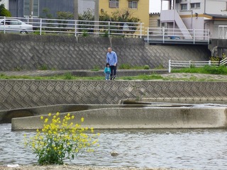s-2010-06-15P1040368.jpg