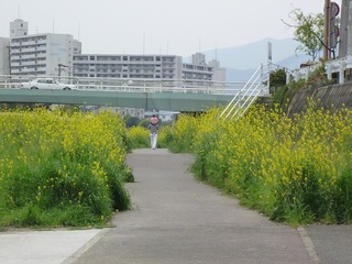 s-2010-06-15P1040372.jpg