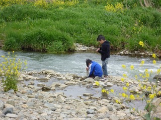 s-2010-06-15P1040455.jpg